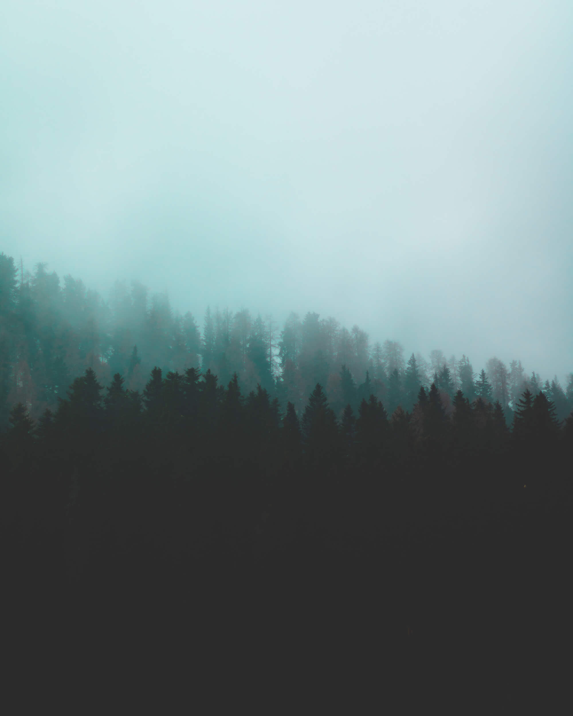 Silhouette of a mountain covered with trees