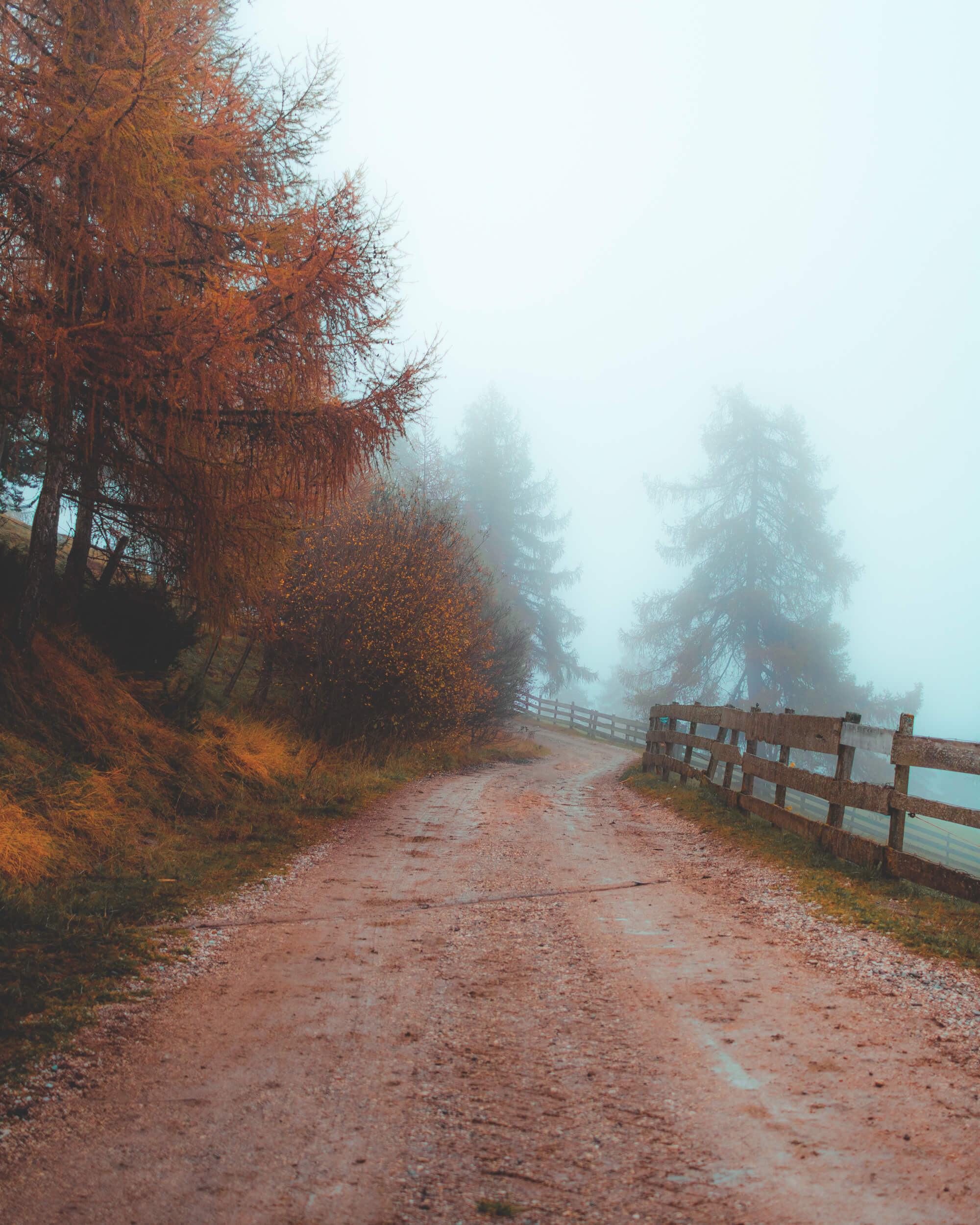 A path through nature hidden in fog